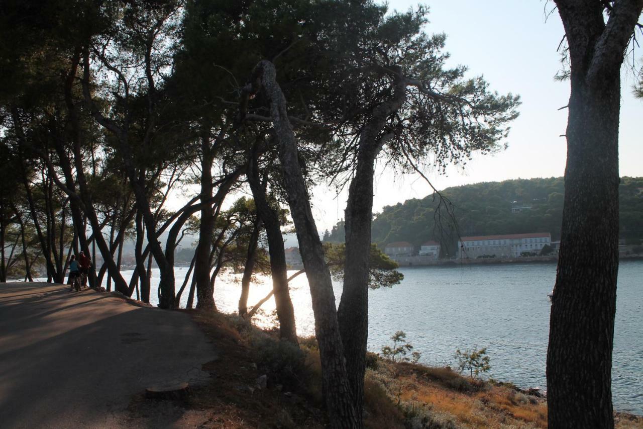 Appartamento Covahouse Jelsa  Esterno foto