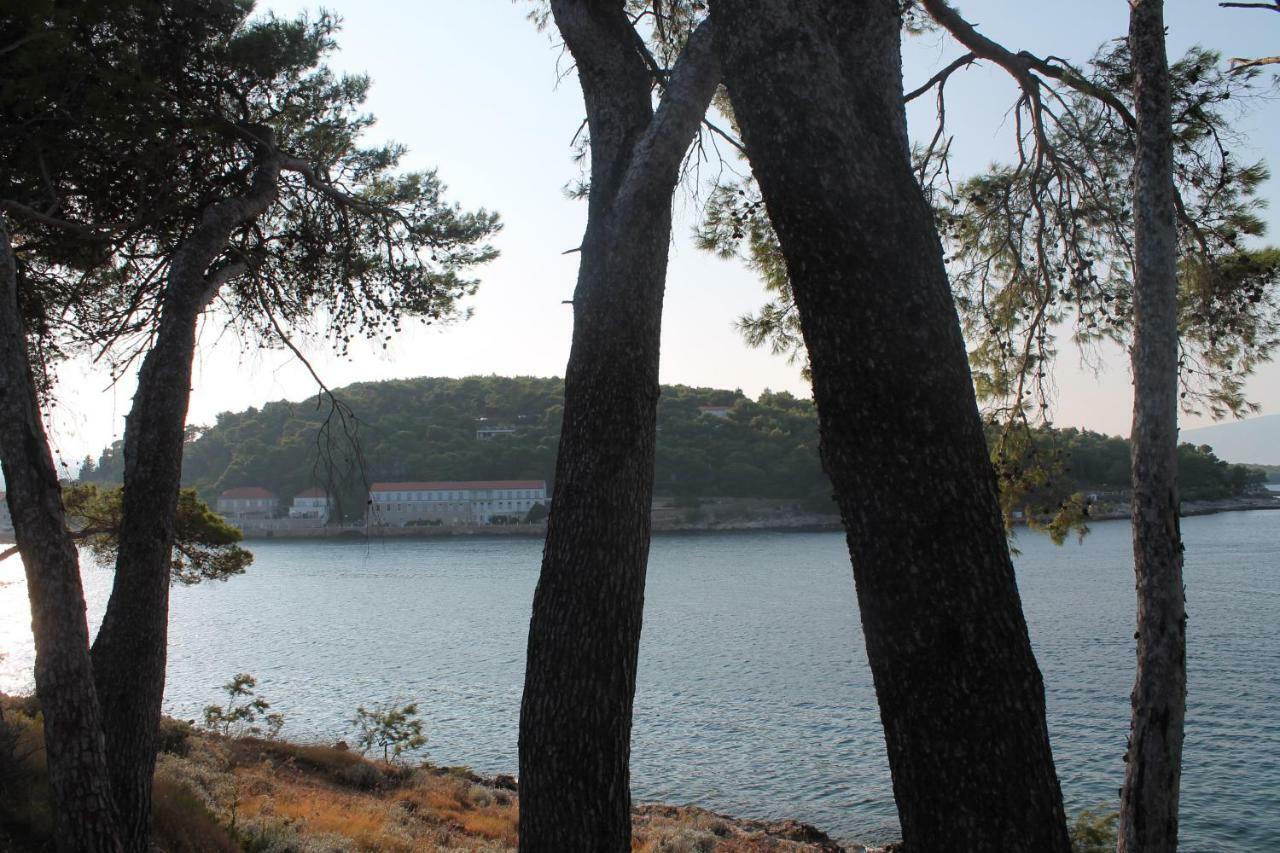 Appartamento Covahouse Jelsa  Esterno foto