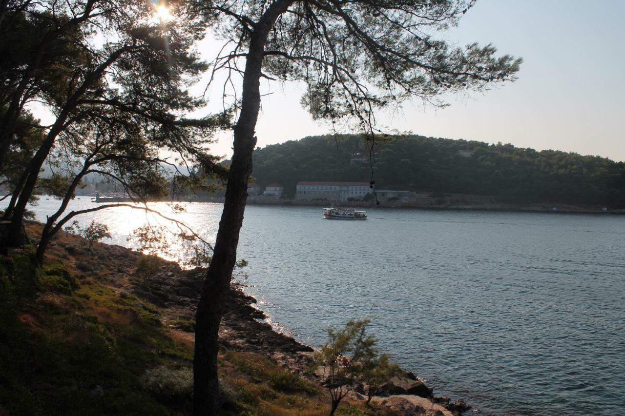 Appartamento Covahouse Jelsa  Esterno foto